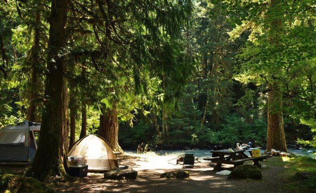 Camping Advice: Heading Out Into The Woods?