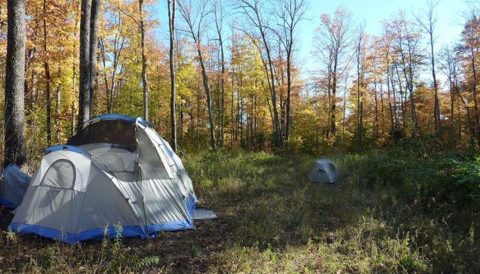 Camping Experience